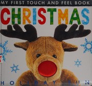 Christmas holiday fun Cover Image