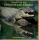 Go to record Crocodile and alligator