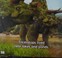 Go to record Triceratops