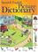 Go to record Spanish-English picture dictionary.