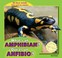 Go to record What's an amphibian? = Qué es un anfibio?