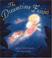 Go to record The dreamtime fairies
