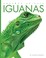 Go to record Iguanas
